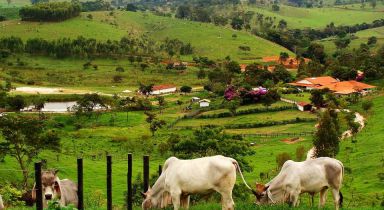 FAZENDA