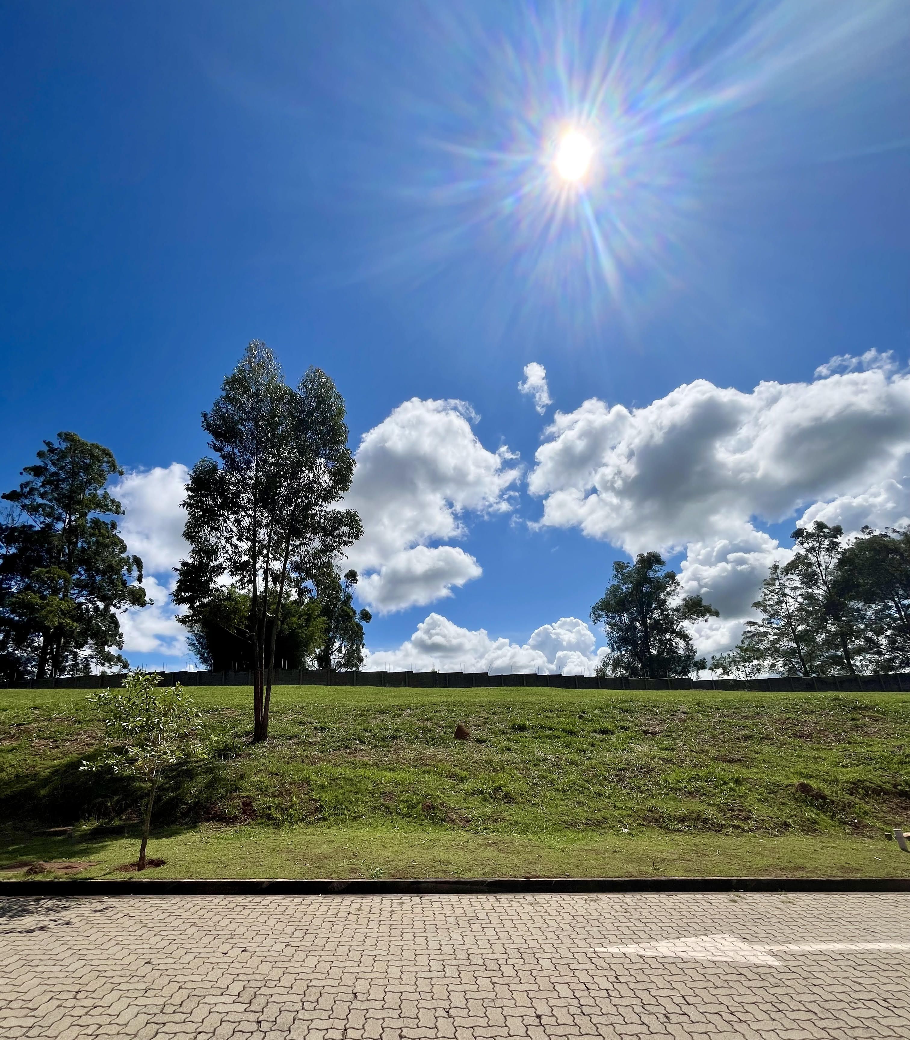 Terrenos